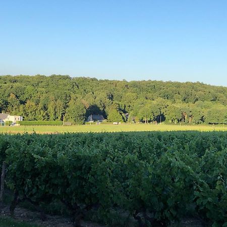 Gite De La Fontaine Bondree Vernou-sur-Brenne Dış mekan fotoğraf