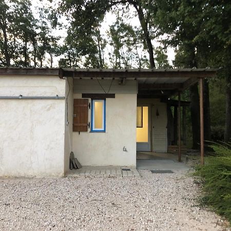 Gite De La Fontaine Bondree Vernou-sur-Brenne Dış mekan fotoğraf